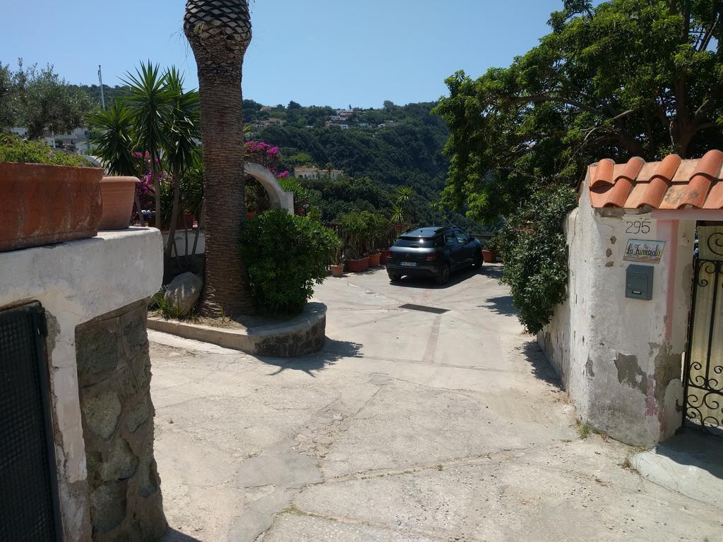 Residence Giardino del Sole Forio di Ischia Exterior foto