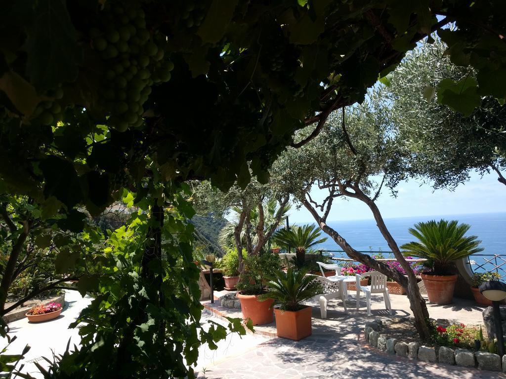 Residence Giardino del Sole Forio di Ischia Exterior foto
