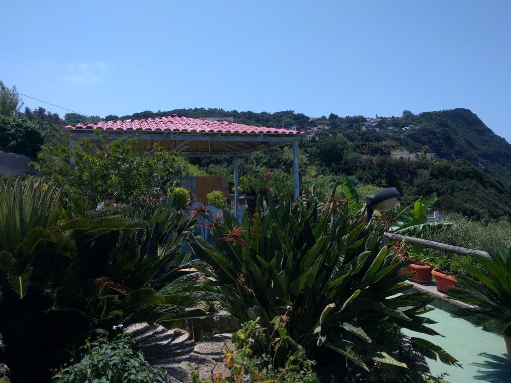 Residence Giardino del Sole Forio di Ischia Exterior foto